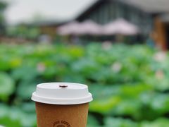 美式咖啡-莫催咖啡