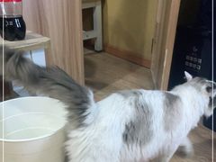 -白兔子密室(长寿路店)