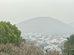 -香雪海