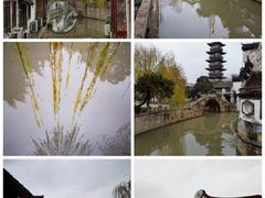 -秋霞圃