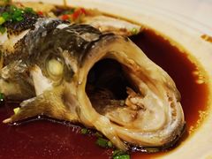 -眉州东坡(民族园店)