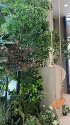 点击看大图 -MuseMarry婚纱(前海嘉里中心店)