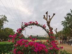 -万绿园