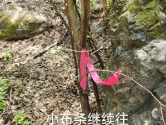 -云岫谷自然风景区