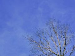 -梅州天地人花园酒店(梅县人民广场店)