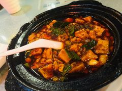 -陈麻婆豆腐总店
