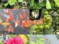 -龙头寺公园