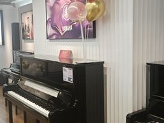 -雅马哈钢琴专卖店盛世雅歌琴行·电钢琴城·钢琴培训(翠微路店)