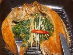 -雀舞云南菜(天津天河城购物中心店)