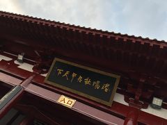 -神州牡丹园