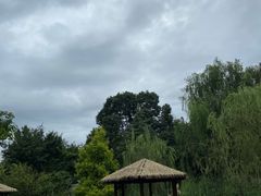 -成飞公园