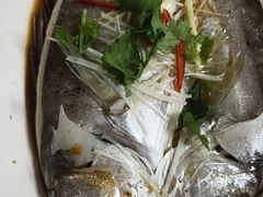 -同乐馆(阳光店)