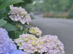 -天地生态农庄