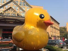 -咸宁万豪温泉谷度假区