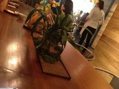 android_upload_pic-微热山丘(台北民生公园门市店)