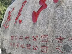 -洛阳花果山景区