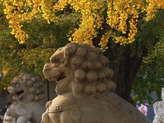 -北京石刻艺术博物馆(五塔寺)