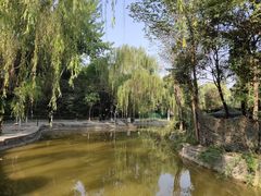 -西安市长乐公园