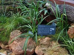 -国家植物园南园