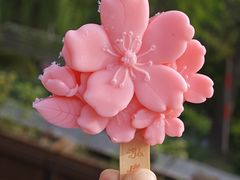 -泓盛花园