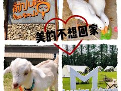 -前小桔亲子创意农场·草莓采摘·露营烧烤