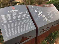 -雨花胜境