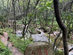 -牛背梁国家森林公园