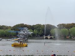 -上海鲜花港