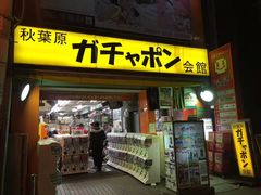 -秋叶原电器街