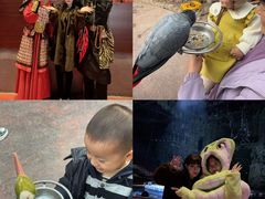 -灵玲国际马戏城