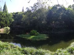 -叶家花园