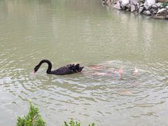 -石排湾郊野公园