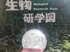-花之城