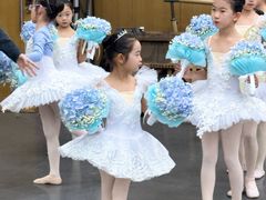 -中央芭蕾舞团·中芭艺蕾(酒仙桥明星校区)