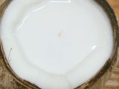 -椰爺爺·椰子冻砵仔糕