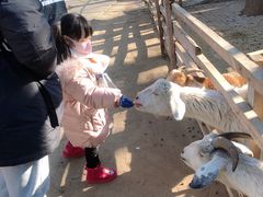 -1982农场