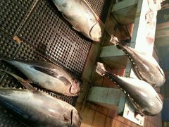 android_upload_pic-尼甘布海鲜市场