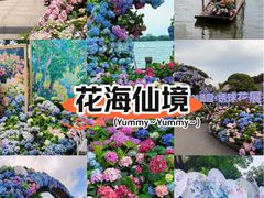 -无锡蠡湖国家湿地公园-蠡园
