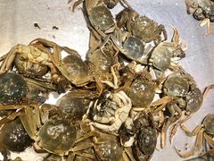 -欢乐牧场海鲜烤肉自助(牡丹园店)