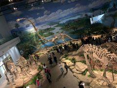 -自贡恐龙博物馆