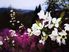 -天台山赤城山景区