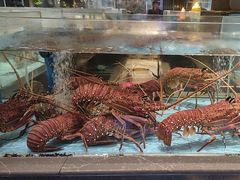 -阿伟海鲜楼·福建菜(延寿店)