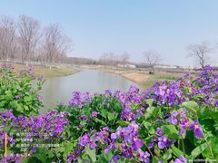 -江苏三台山国家森林公园