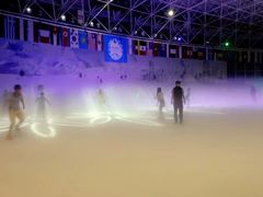 -世界之窗阿尔卑斯冰雪世界