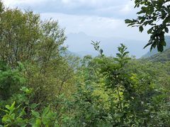 -小陇山国家森林公园桃花沟景区