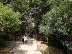 -灵岩山风景区