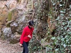 -上海佘山国家森林公园西佘山园