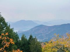 -北京十三陵国家森林公园蟒山景区