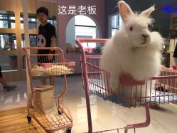 -Moni星球萌宠·小马宝莉·灵蛇·高端高阶全萌宠互动体验俱乐部(红豆国际广场店)