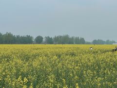 -汉长安城未央宫国家考古遗址公园